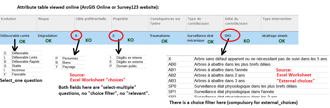 Resulting Feature Service attibute table, with some domain exposing aliases and some not. The source field and parameter in the S123 Connect worksheet is also shown.